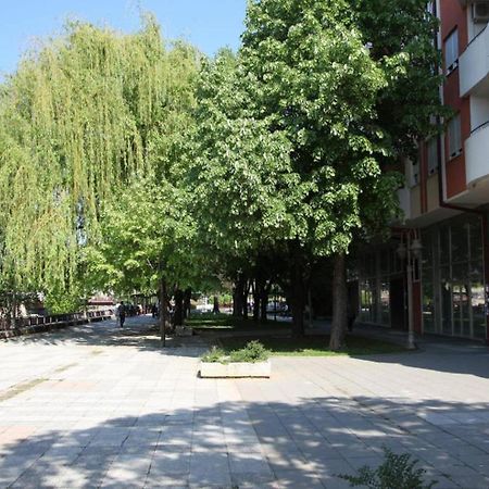 65 Square Meters Designer Apartment In Heart Of City - River View ! Park For Free Nisz Zewnętrze zdjęcie