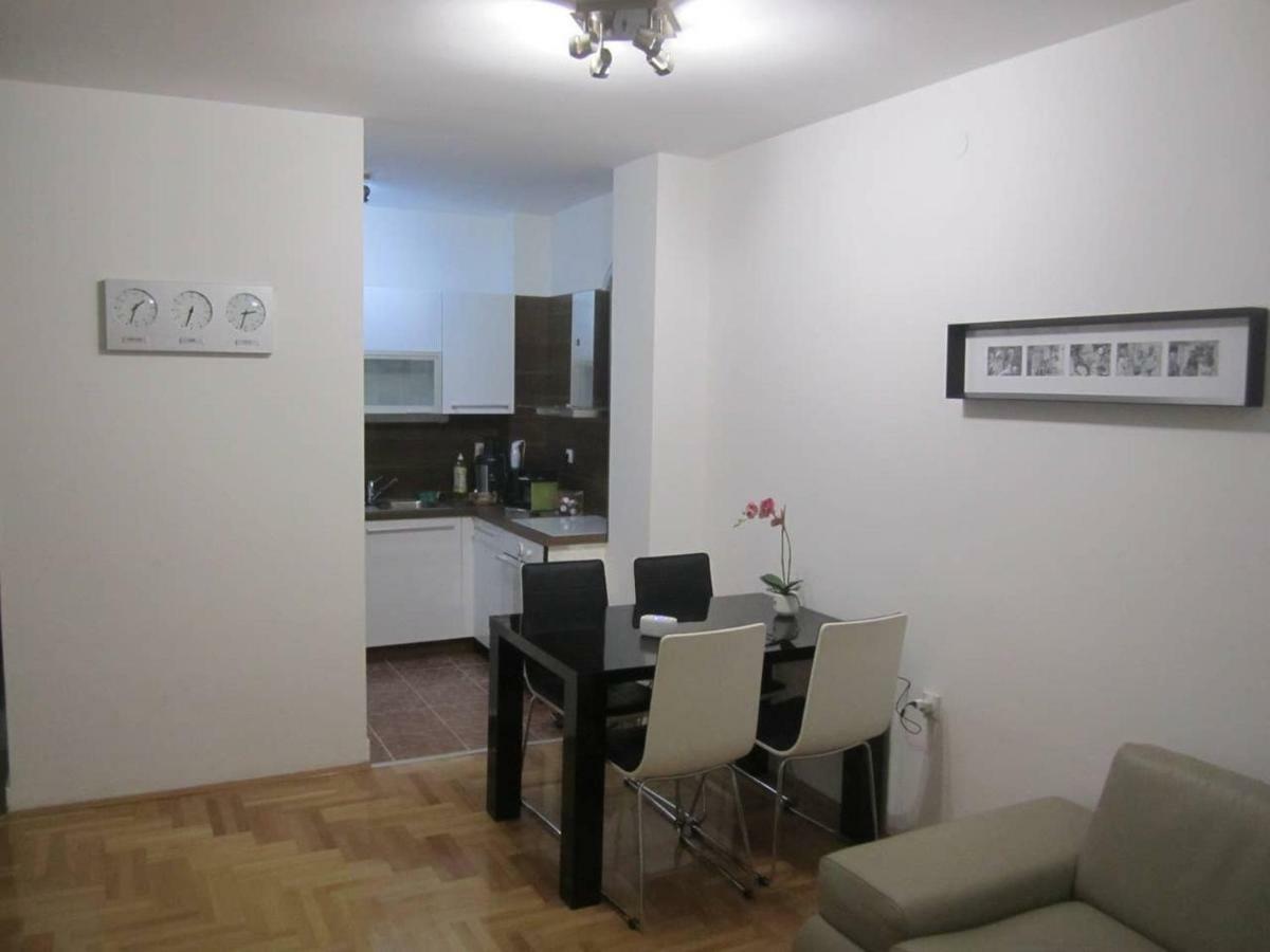 65 Square Meters Designer Apartment In Heart Of City - River View ! Park For Free Nisz Zewnętrze zdjęcie